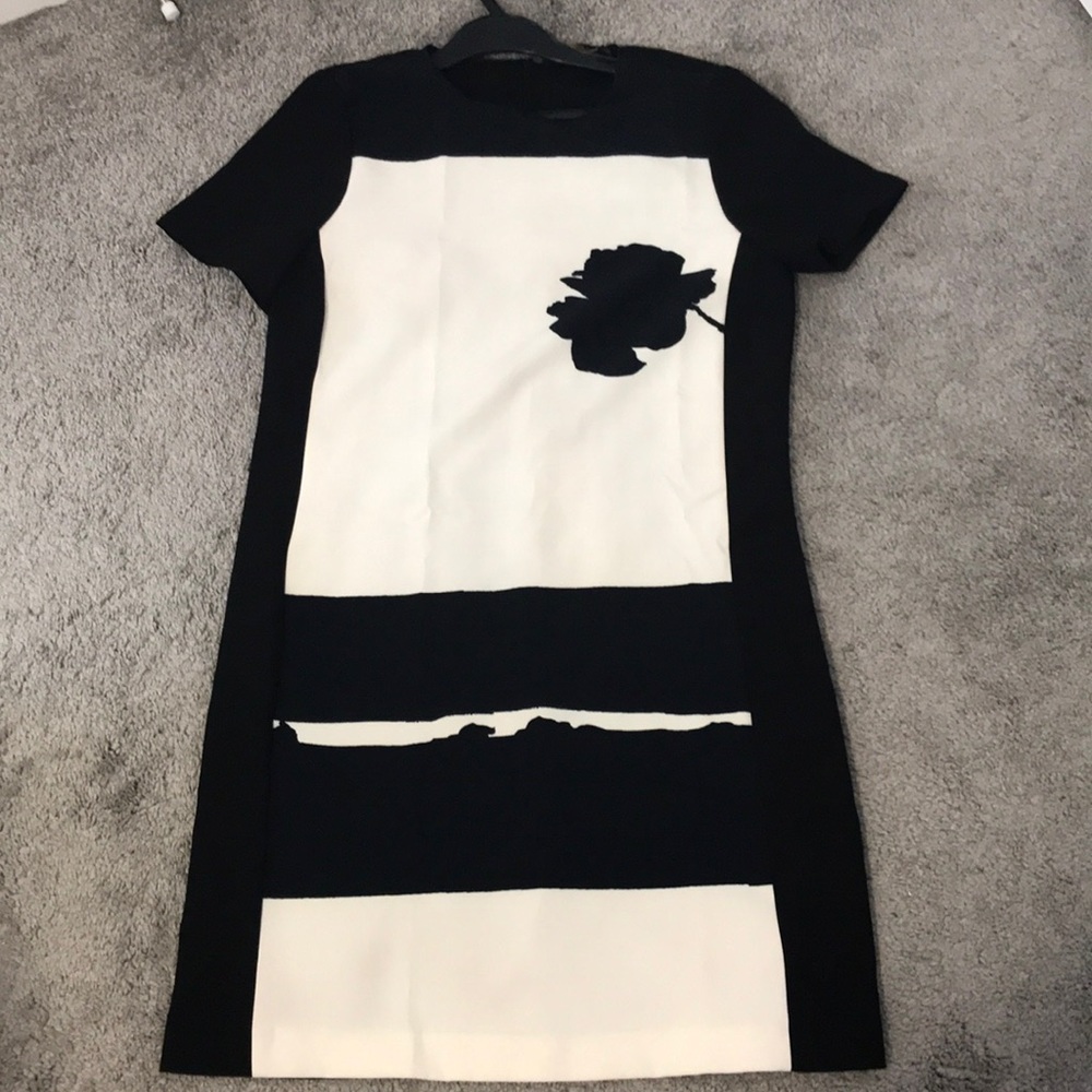 Zara dress